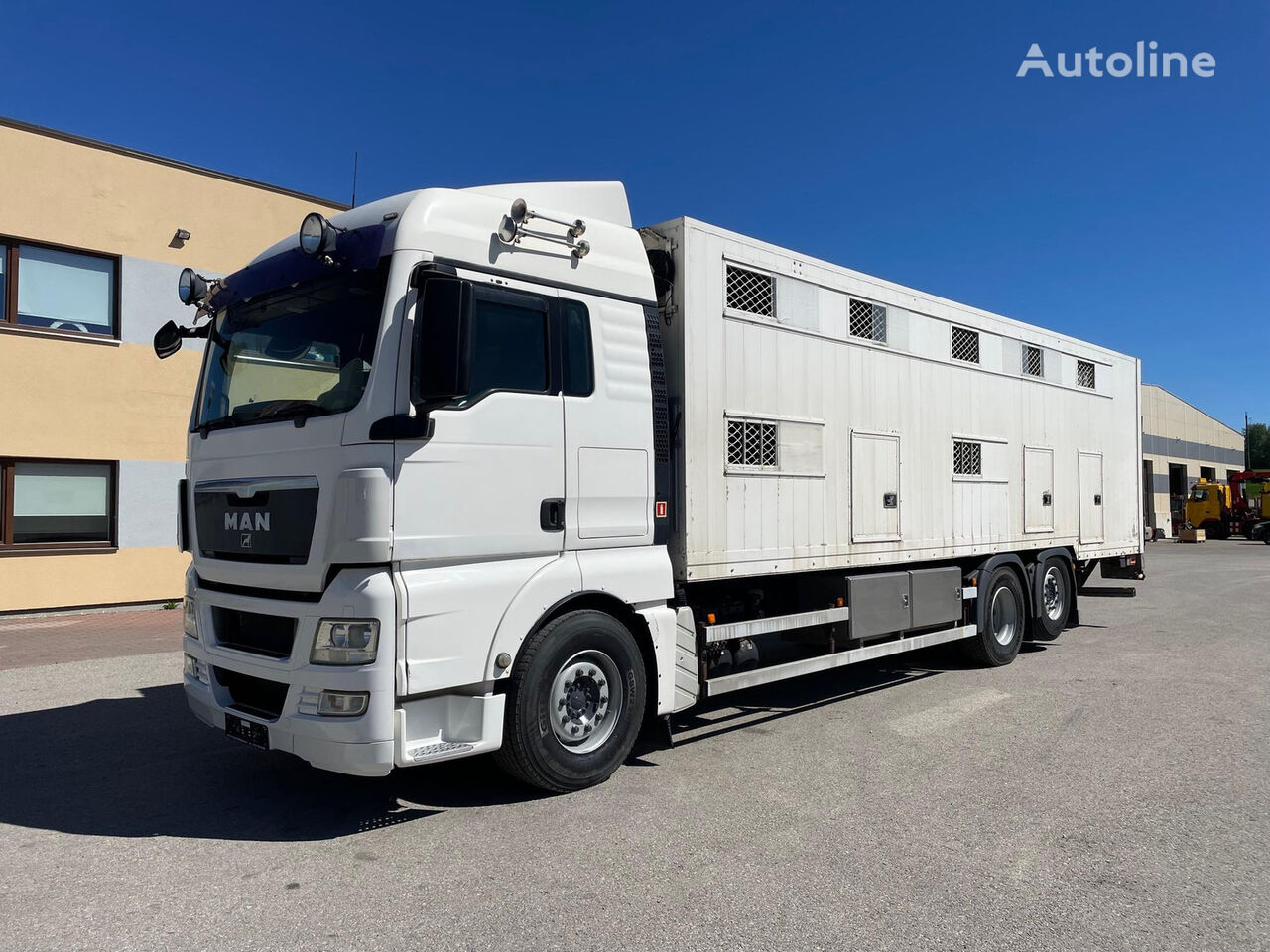 MAN TGX 26.480 6x2 + RETARDER camión para transporte de ganado